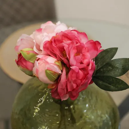 Luxury Regina 14 Appartamento